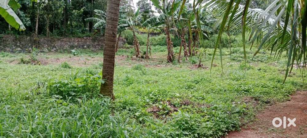 Land For sale in kottarrakkara 22 cents,10 cents for 2.70 lakh percent