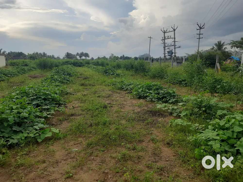 Land for sale 5.22 cent