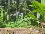 Land for sale  located in thaneerpanthal near  vengeri