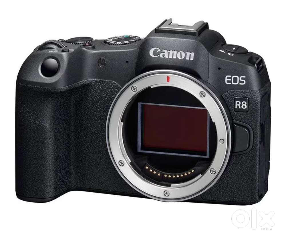 Canon R8 with stm lens 24/105