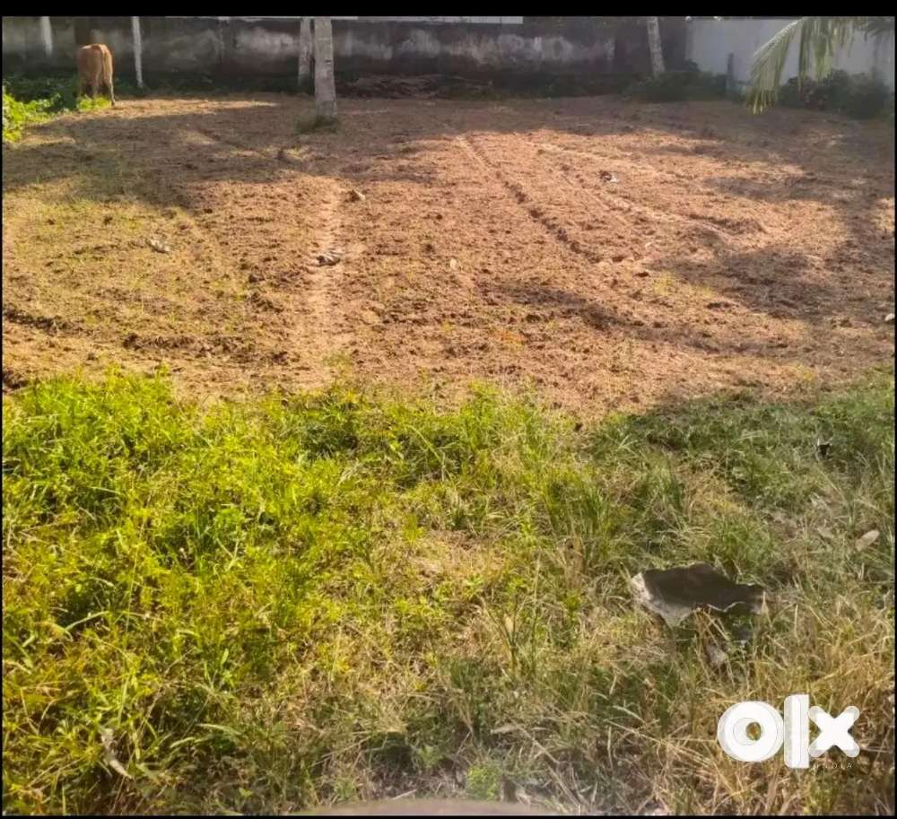 സ്ക്വയർ പ്ലോട്ട് വില്പനയ്ക്ക് 7 സെന്റ്