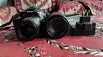 Nikon D5600 for sell