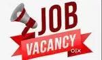 Personal Secretary female (part time) required at NOIDA extension,