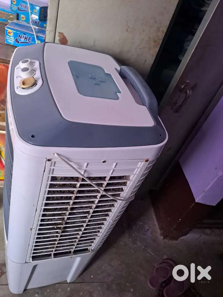 New connection collier 6 month old