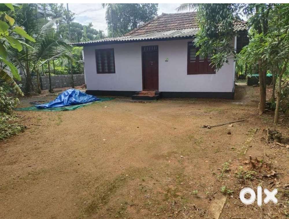 15 cent squre plot for sale at vengola