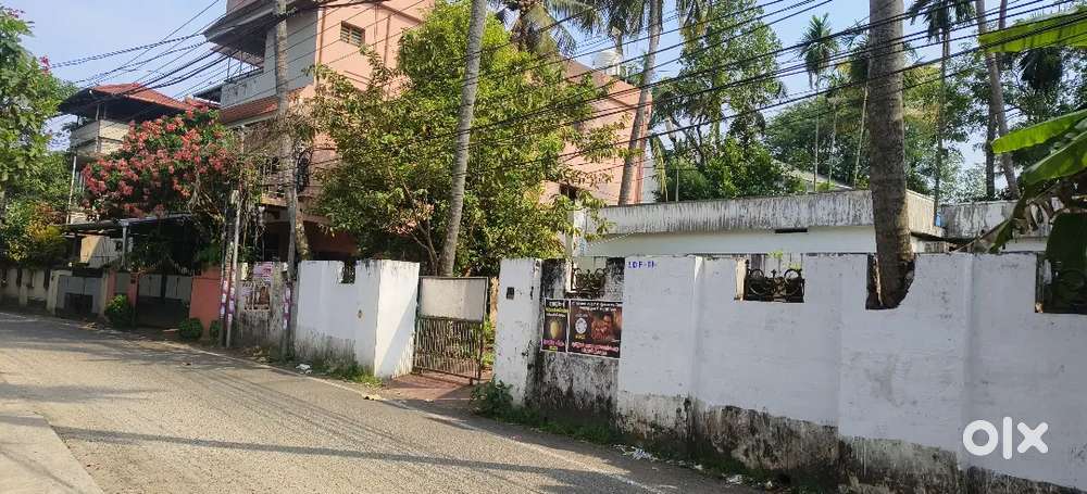Commercial land sale Palarivatom