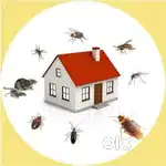 Pest control