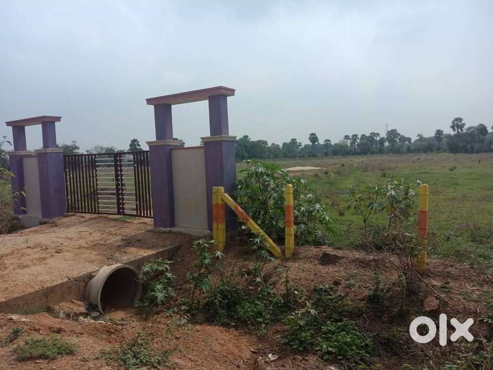Land for sale prakasaraopalem, Nallajerla, Tadepalligudem