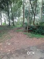1 Acre land for sale in Chennerkara good for residential purpose