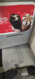 Good Condition Quality Walls Deep Freezer for Sale