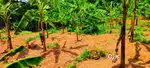 20 cent plot for sale at Venchembu