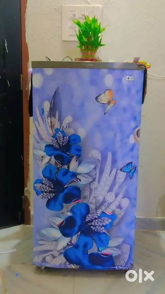 Lg freez for home use