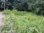 3 cents residential plot for sale at Kakkanad.