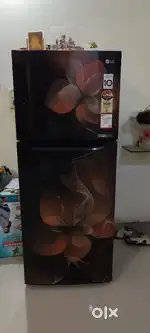 LG 260 liter double door refrigerator