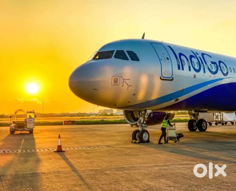 Accountant job in Cargo Warehouse On IGI Airport for Experienced