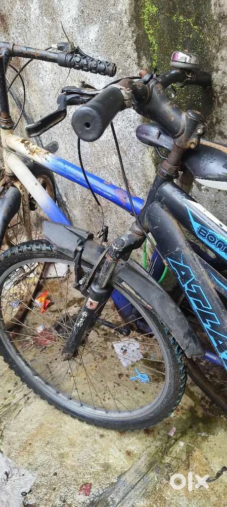 Wevy cycle