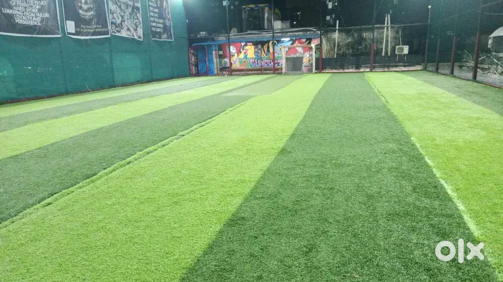 Turf Caretaker