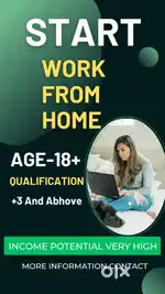 Work from home data entry