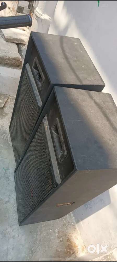 Speaker. 12.. inch   company.. ultrasound speaker new