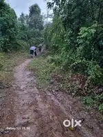 17laks urgent sale 2acre duna bhoi umpawin road to dawnki resor