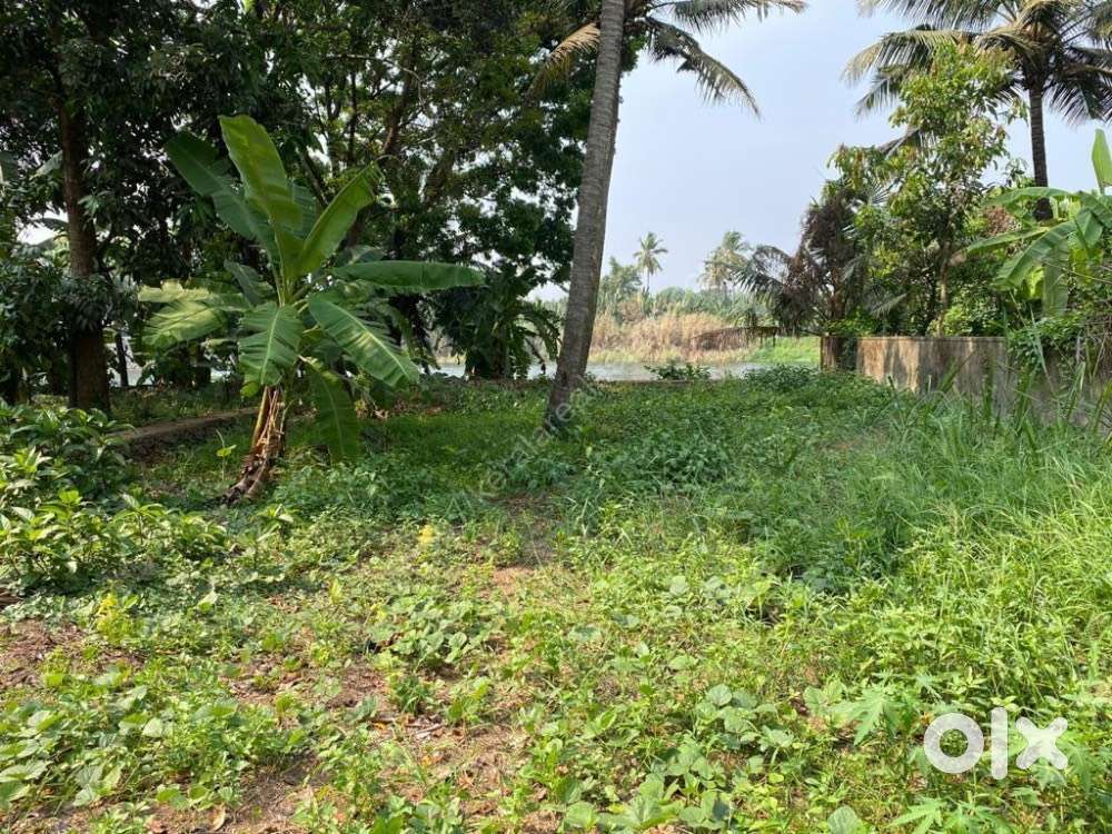 7 Cent Plot for Sale near Nellayi Federal Bank