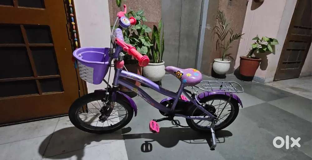 Girl's Biscyle