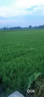 किराया पर देना है 2 lack प्रति महीना