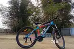 Raleigh Rapido MTB
