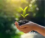 Tution for clas 1 to 10 childrens