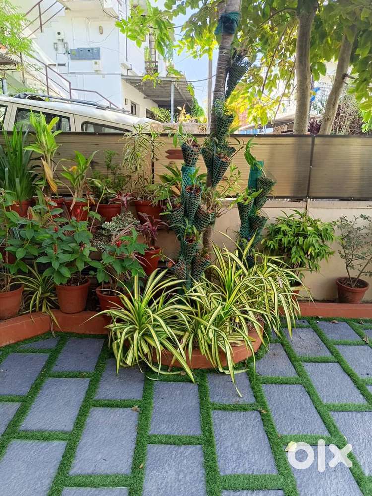 Shared Flat for Rent, Near Thevara Junction (LADIES ONLY)