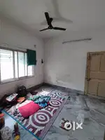 Female flat No Restriction