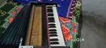 Harmonium copular 2 line Bass Male German Reed.