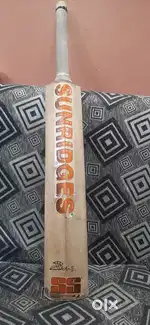 kashmir willow bat with grade A quality