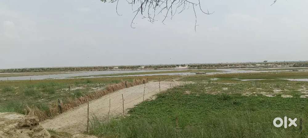 1bigha land for sale in bhadar