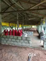 Hema Sai building works