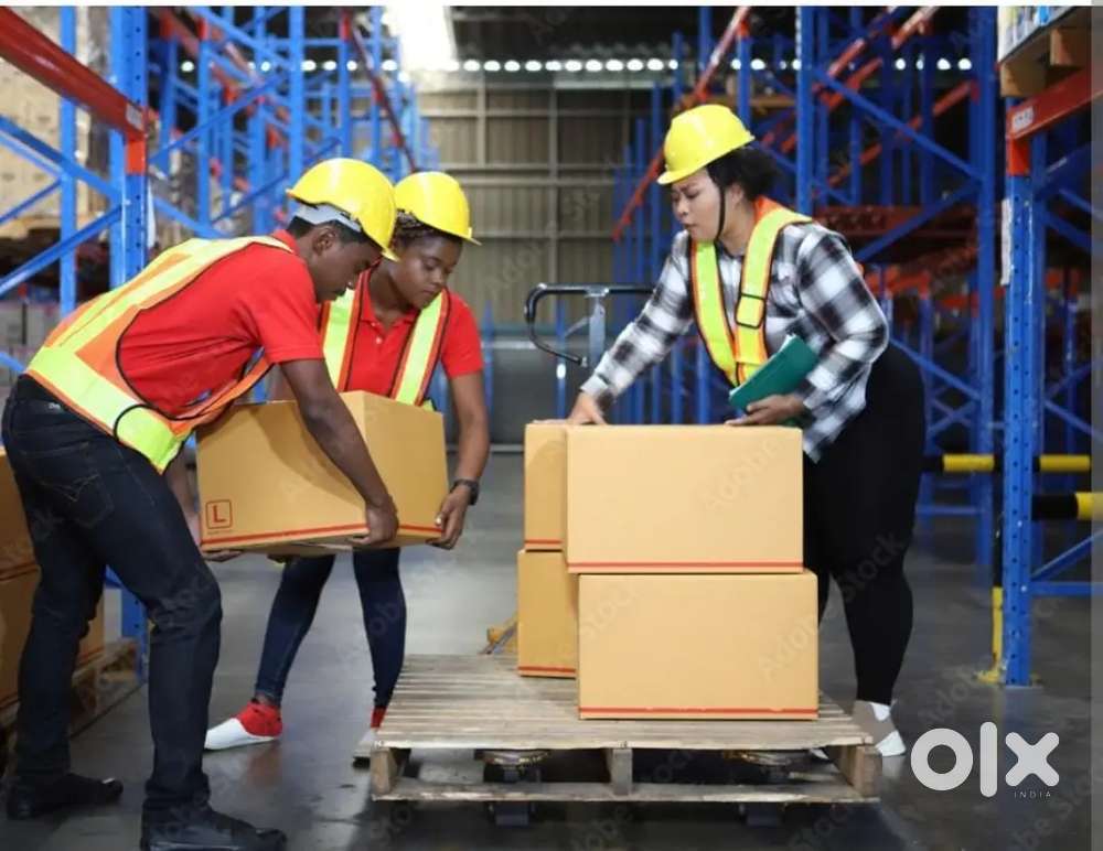 Wanted Male Godown Helper @ Food Firm