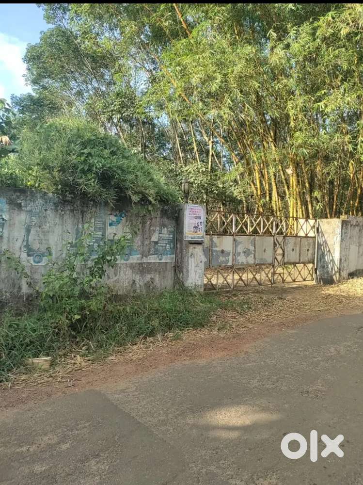 10 acre  land for sale in parandode nedumangadu  2.2 lakh /cent
