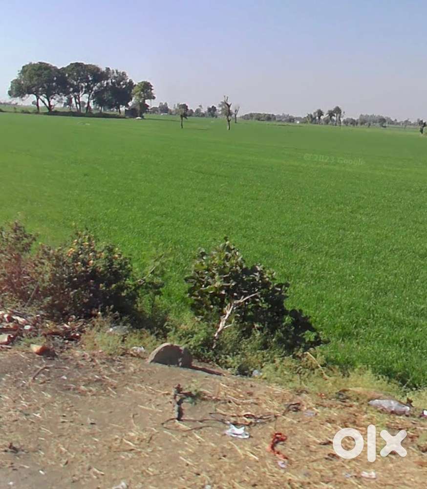 5 acre land for sale