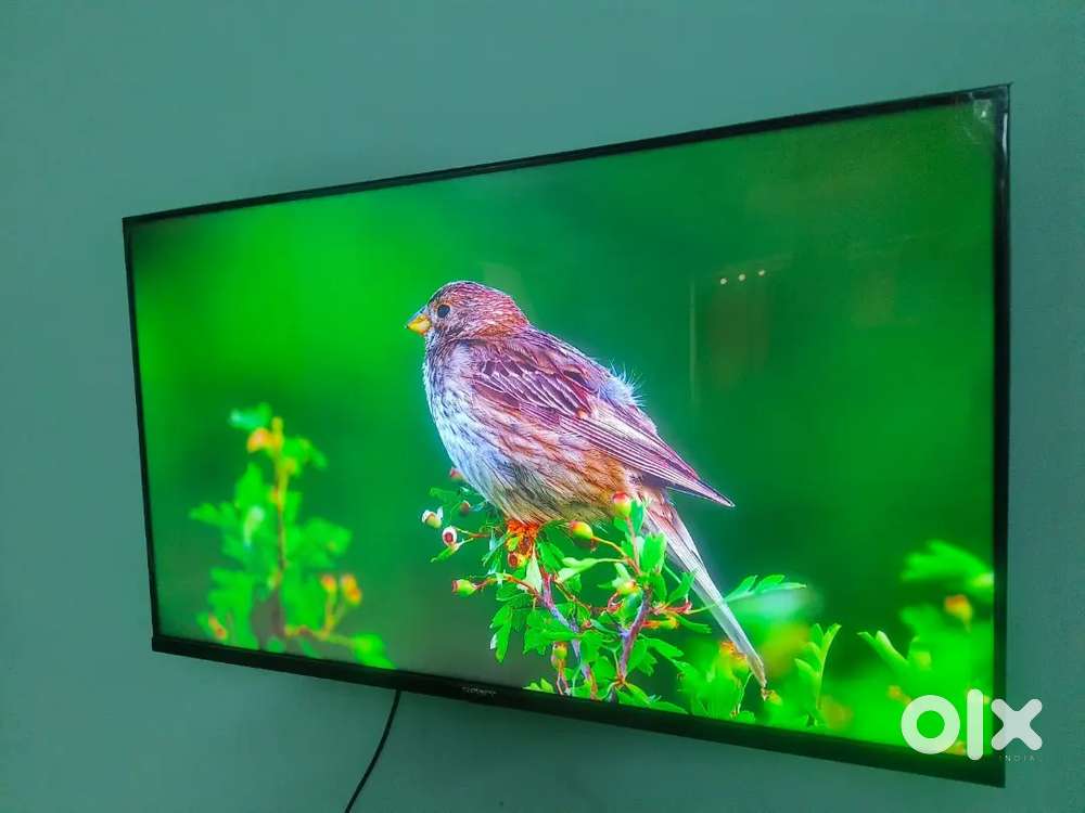 High quality full hd 43in just 12320/