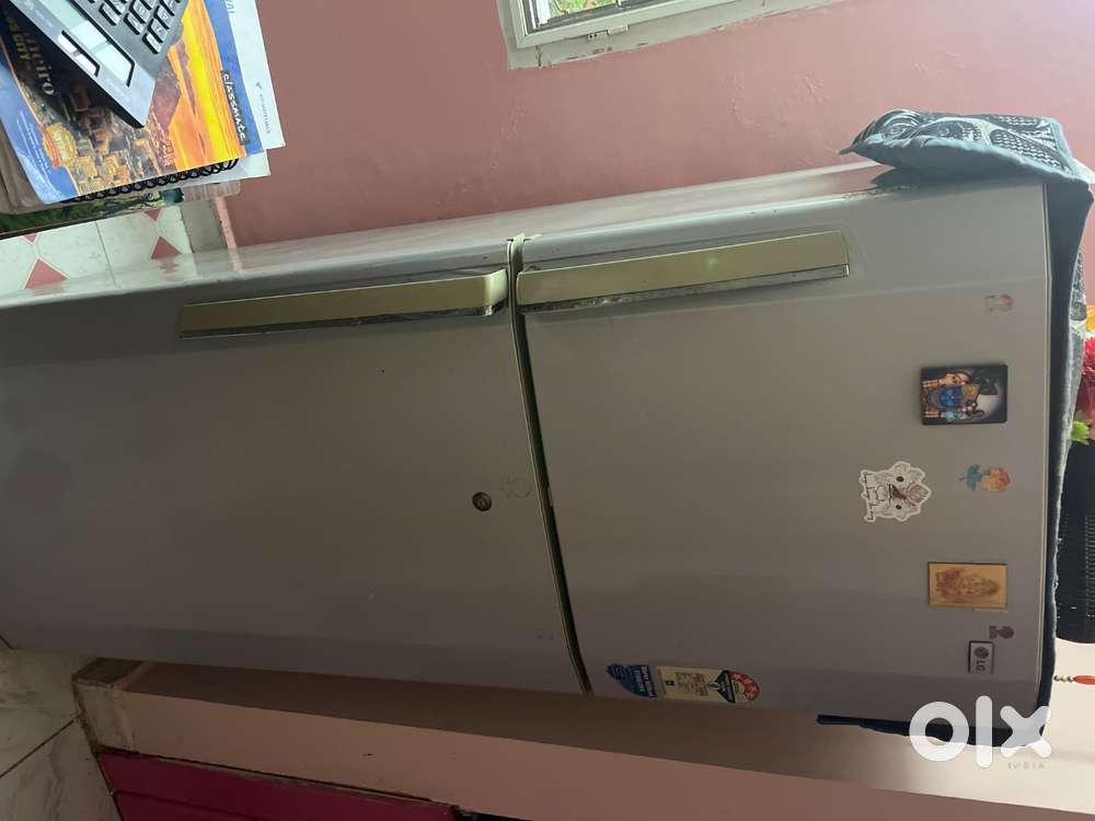 Lg fridge double door