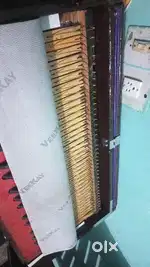Male harmonium