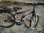 Best cycle