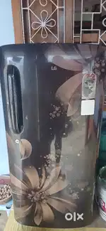 LG fridge singe door with smart feature 170 litre