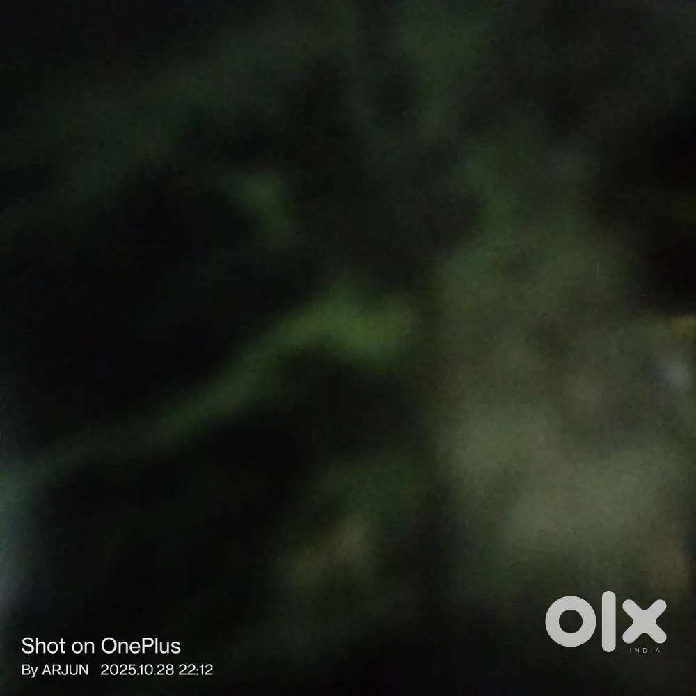 House available for rent & sale