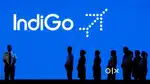 Jobs in Indigo Airlines vacancy available for Male, Female candidates
