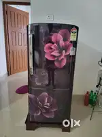 Samsung single Door 4 Star Refrigerator with Digital Inverter