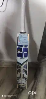 SS Master 100 Kashmir willow bat