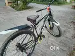 Mambo bicycle