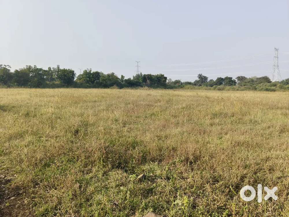 2 acres land available for sale _shikarkana_narayankhed