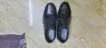 Executive shoe for sale